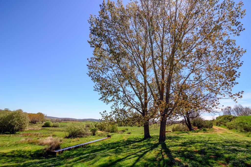 El Molino Congosta